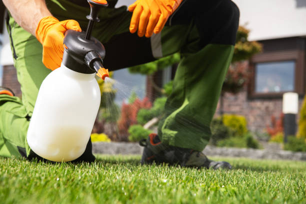 Best Pest Control for Businesses  in Carnation, WA