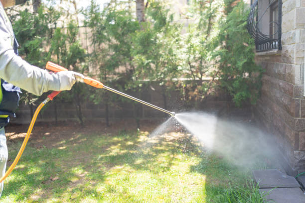Best Bird Control  in Carnation, WA