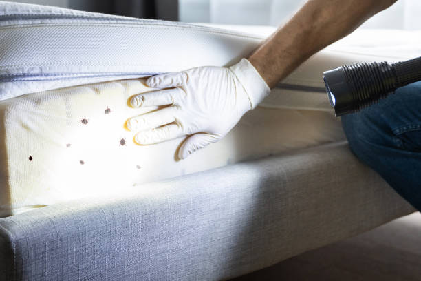Best Commercial Pest Control Services  in Carnation, WA