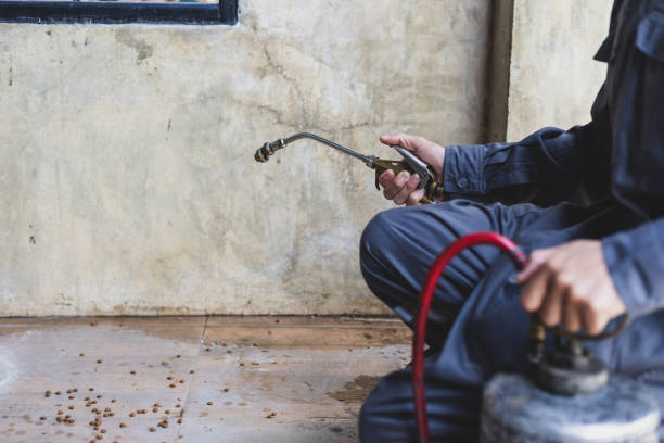 Best Pest Removal Services  in Carnation, WA