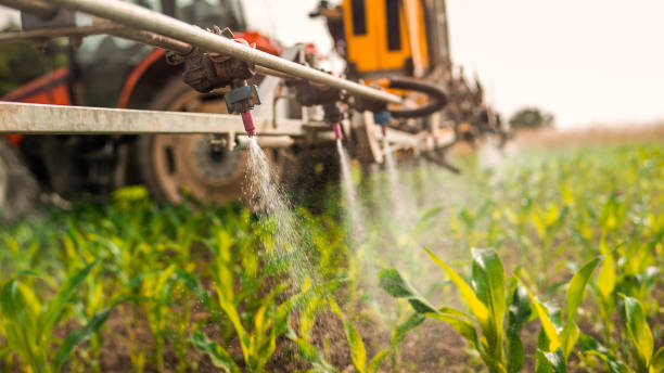 Best Pest Inspection Near Me  in Carnation, WA